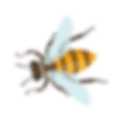 bee-h4-slider-min bee-h4-slider-min