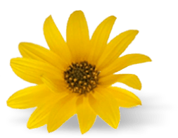 h1-image-slider-03-min.png h1-image-slider-03-min